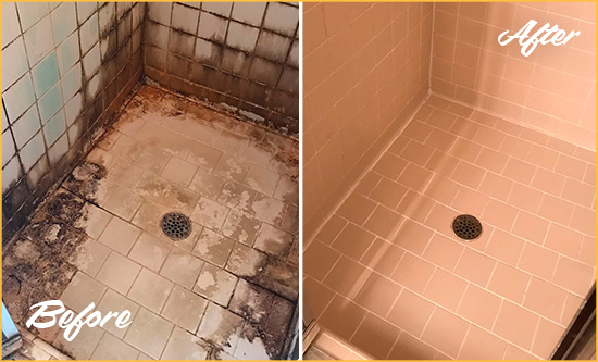 Before and After Picture of a Fort George Shower Tile and Grout Cleaned to Repair Water Damage