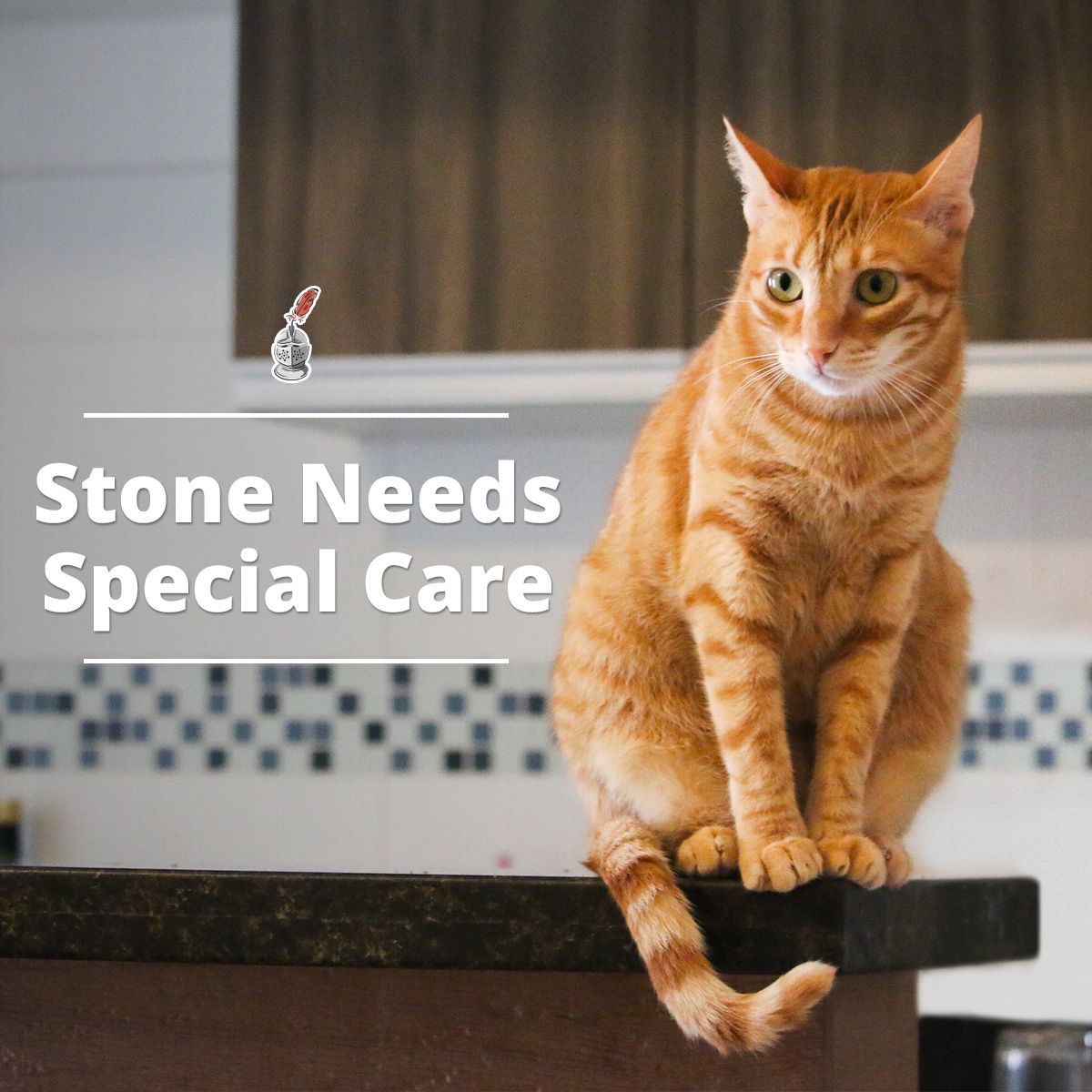Stone Needs Special Care