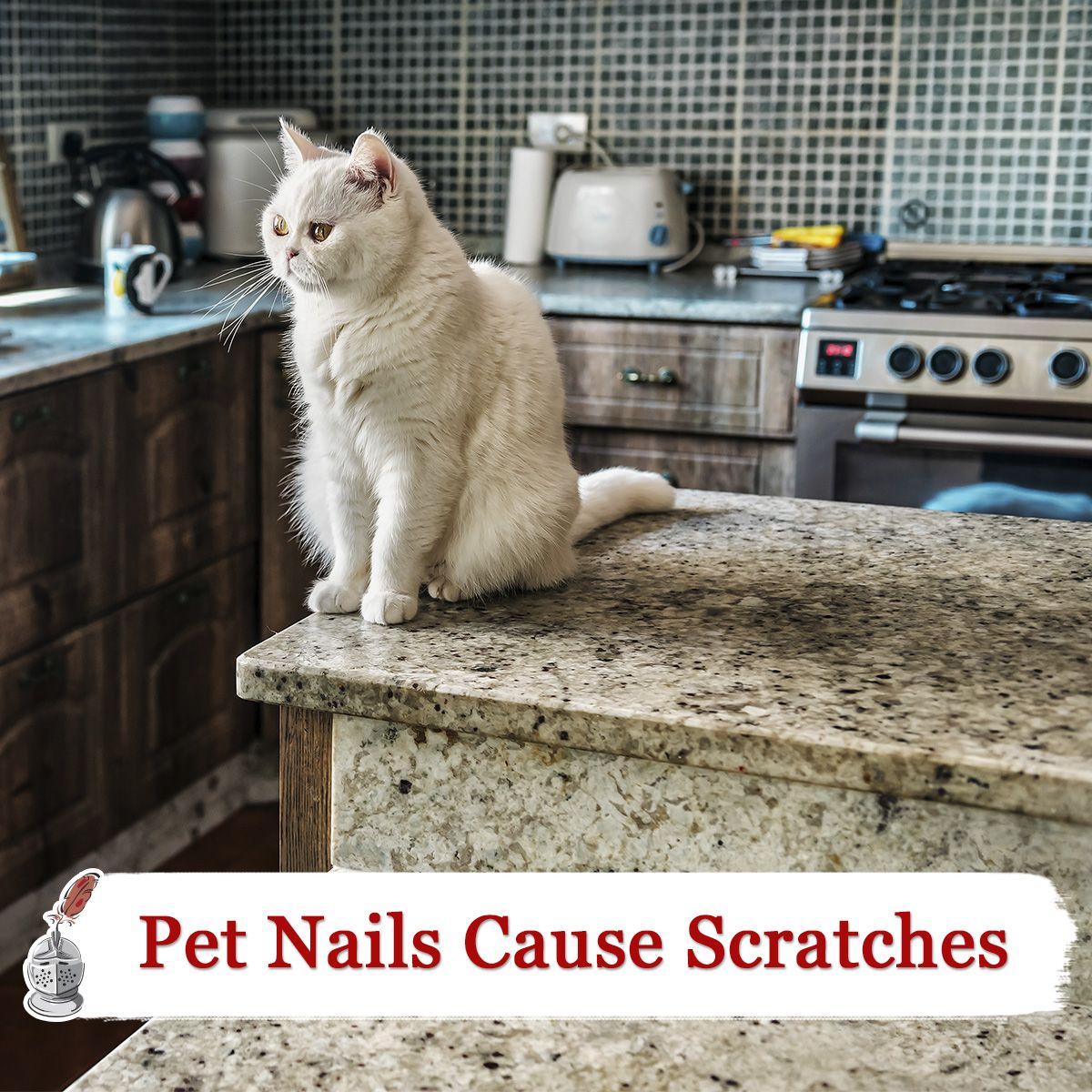 Pet Nails Cause Scratches